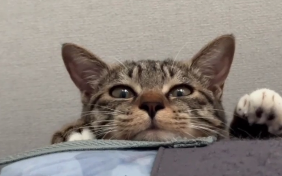 Сервер открылся